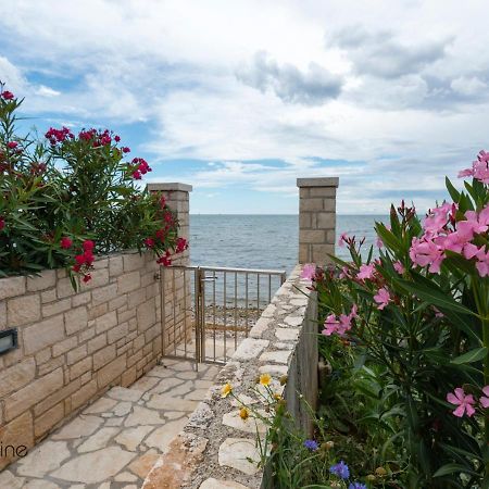 אומאג Apartments Valentina מראה חיצוני תמונה